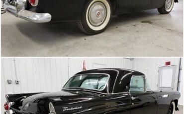 Unknown-Thunderbird-1955-5