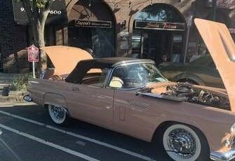 Unknown-Thunderbird-1956-Tan-Tan-9