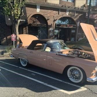 Unknown-Thunderbird-1956-Tan-Tan-9