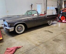 Unknown-Thunderbird-1957-Gray