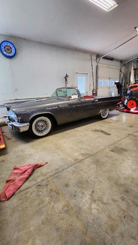 Unknown-Thunderbird-1957-Gray