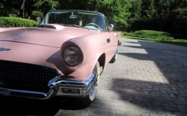Unknown-Thunderbird-1957-Pink-White-11