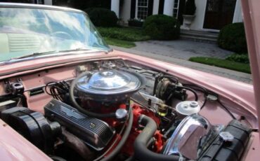 Unknown-Thunderbird-1957-Pink-White-23
