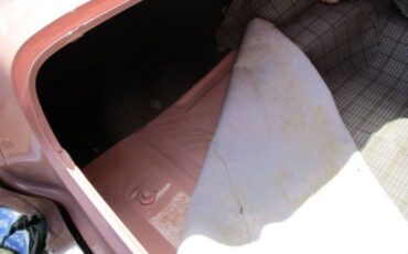 Unknown-Thunderbird-1957-Pink-White-4