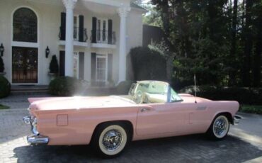 Unknown-Thunderbird-1957-Pink-White-7