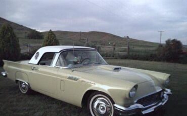 Unknown-Thunderbird-1957-Yellow-2