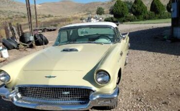 Unknown-Thunderbird-1957-Yellow-5
