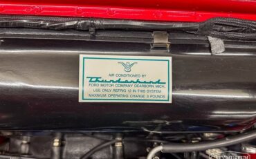 Unknown-Thunderbird-1959-Torch-Red-Black-Vinyl-37