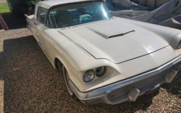 Unknown-Thunderbird-1959-White