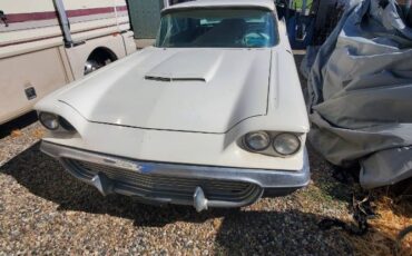 Unknown-Thunderbird-1959-White-6