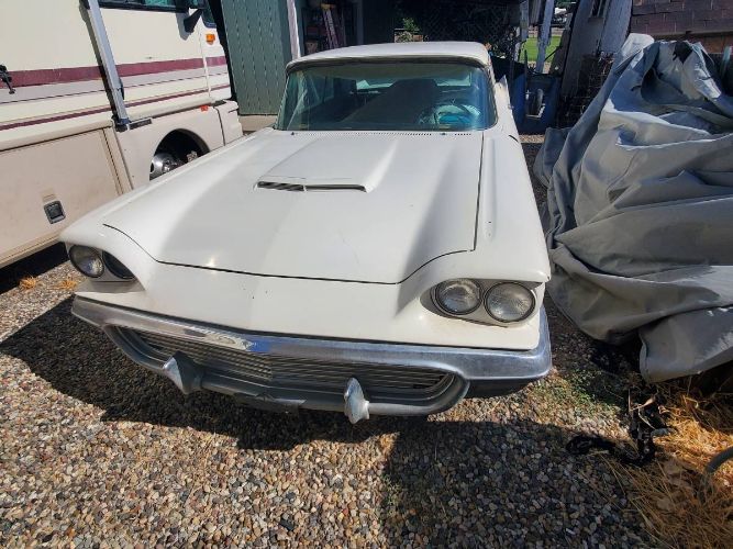 Unknown-Thunderbird-1959-White-6