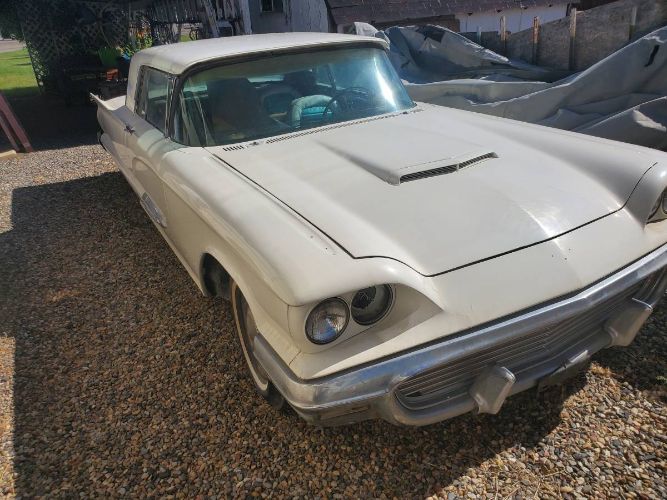 Unknown-Thunderbird-1959-White