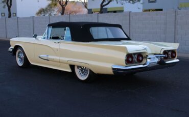 Unknown-Thunderbird-1959-Yellow-Black-13