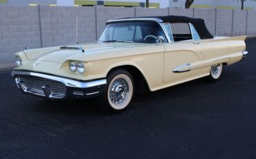 Unknown-Thunderbird-1959-Yellow-Black-15