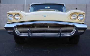 Unknown-Thunderbird-1959-Yellow-Black-17
