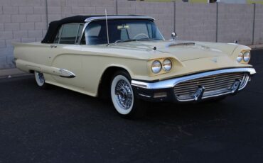 Unknown-Thunderbird-1959-Yellow-Black-18