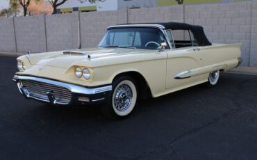 Unknown-Thunderbird-1959-Yellow-Black-19