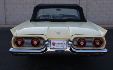 Unknown-Thunderbird-1959-Yellow-Black-20