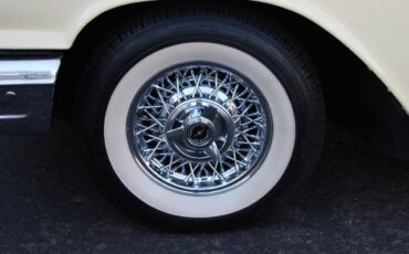 Unknown-Thunderbird-1959-Yellow-Black-40