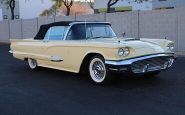 Unknown-Thunderbird-1959-Yellow-Black-48