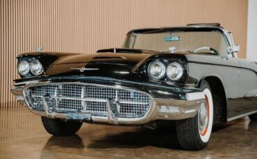 Unknown-Thunderbird-1960-Black-Black-Vinyl-12