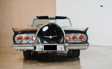 Unknown-Thunderbird-1960-Black-Black-Vinyl-29