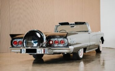 Unknown-Thunderbird-1960-Black-Black-Vinyl-5