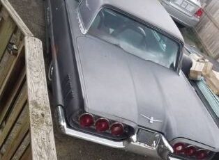 Unknown-Thunderbird-1960-Gray