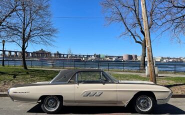 Unknown-Thunderbird-1963-Beige-Beige