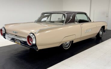 Unknown-Thunderbird-1963-Sandshell-Beige-Beige-11
