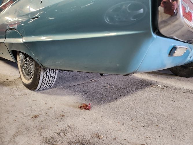 Unknown-Thunderbird-1964-TealWhite-Teal-33