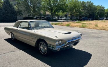 Unknown-Thunderbird-1965-16
