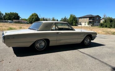 Unknown-Thunderbird-1965-18