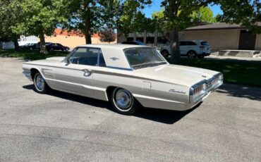 Unknown-Thunderbird-1965-9
