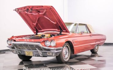 Unknown-Thunderbird-1965-Emberglo-Metallic-Parchment-28