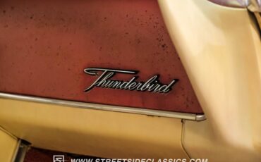 Unknown-Thunderbird-1965-Emberglo-Metallic-Parchment-46
