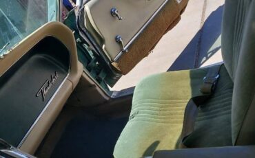 Unknown-Thunderbird-1965-Green