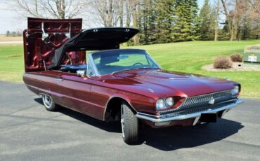 Unknown-Thunderbird-1966-5