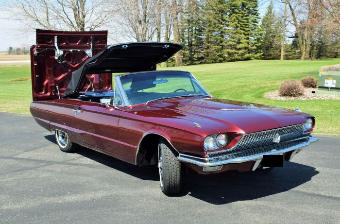 Unknown-Thunderbird-1966-5