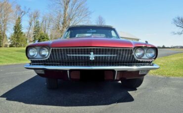 Unknown-Thunderbird-1966-7