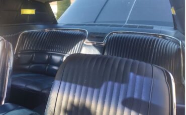 Unknown-Thunderbird-1966-BlueWhite-top-1