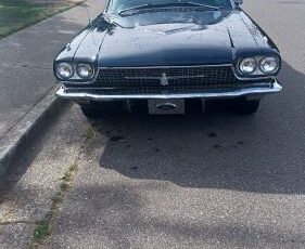 Unknown-Thunderbird-1966-BlueWhite-top-10