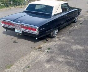 Unknown-Thunderbird-1966-BlueWhite-top-12