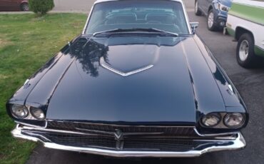 Unknown-Thunderbird-1966-BlueWhite-top-44
