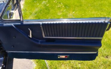 Unknown-Thunderbird-1966-BlueWhite-top-49