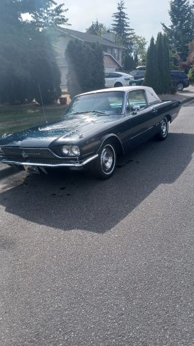 Unknown-Thunderbird-1966-BlueWhite-top-6