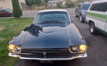 Unknown-Thunderbird-1966-BlueWhite-top-7