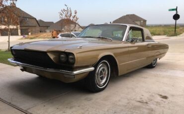Unknown-Thunderbird-1966-Brown