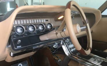 Unknown-Thunderbird-1966-Brown-4
