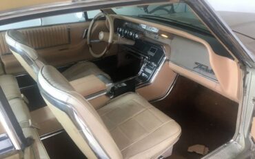 Unknown-Thunderbird-1966-Brown-6